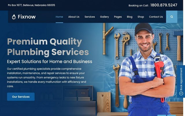 Plumbing website